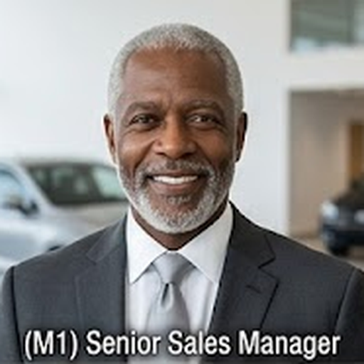 Used Car Sales AI Agent
